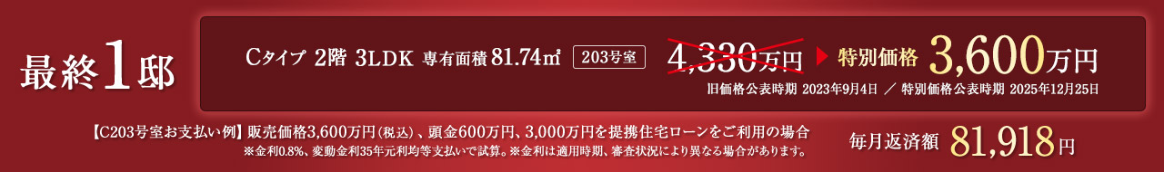 最終1邸 C203号室　特別価格　3600万円